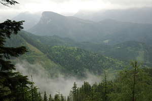 Circular view from the top