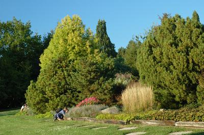 Photographer by a work