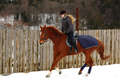 Ride at a canter