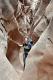 Little Wild Horse canyon - narrows