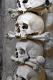 Skulls in Ossuary